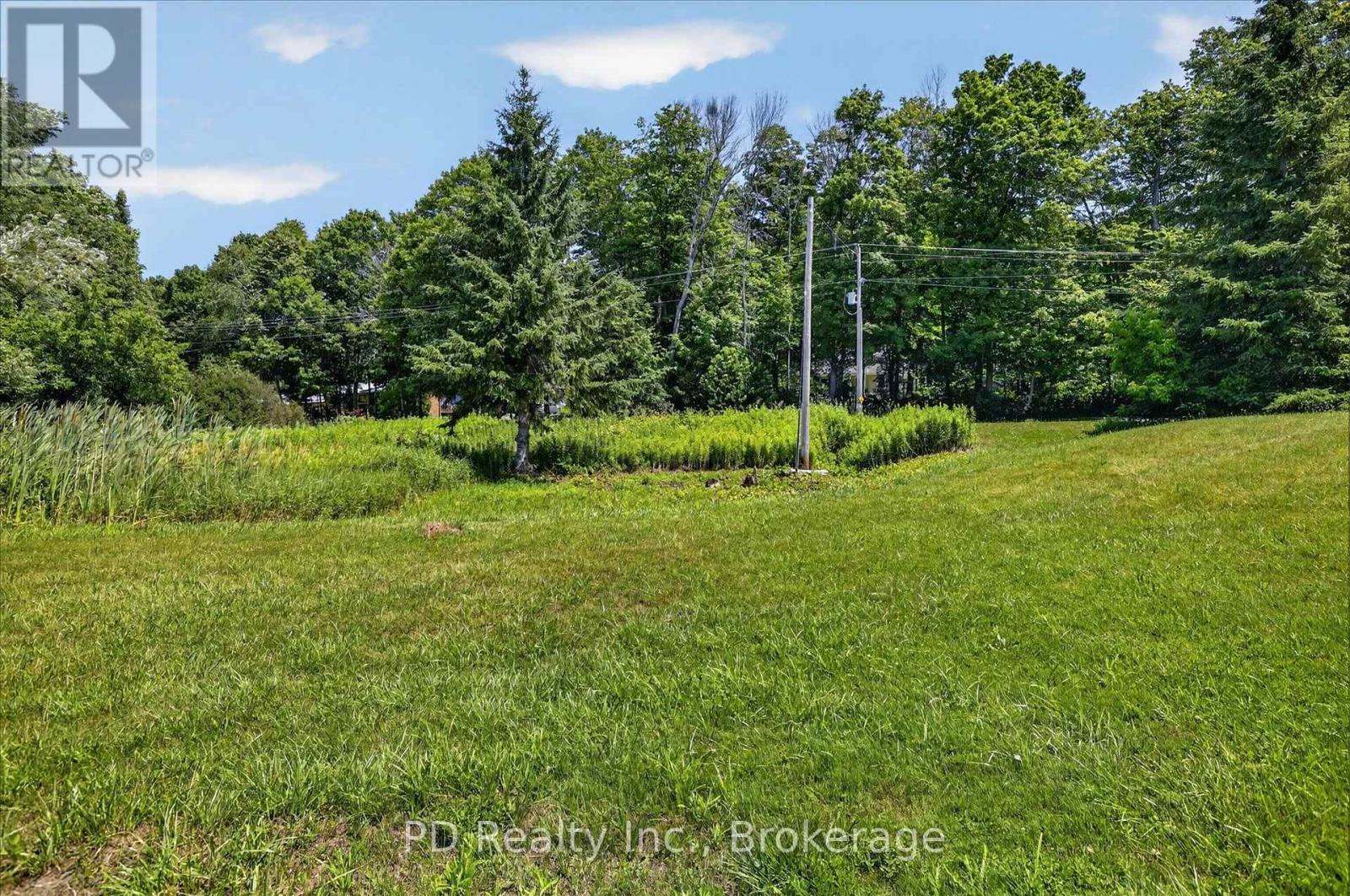 35 Westview Drive, Kawartha Lakes (Emily), Ontario  K0L 2W0 - Photo 38 - X13561846