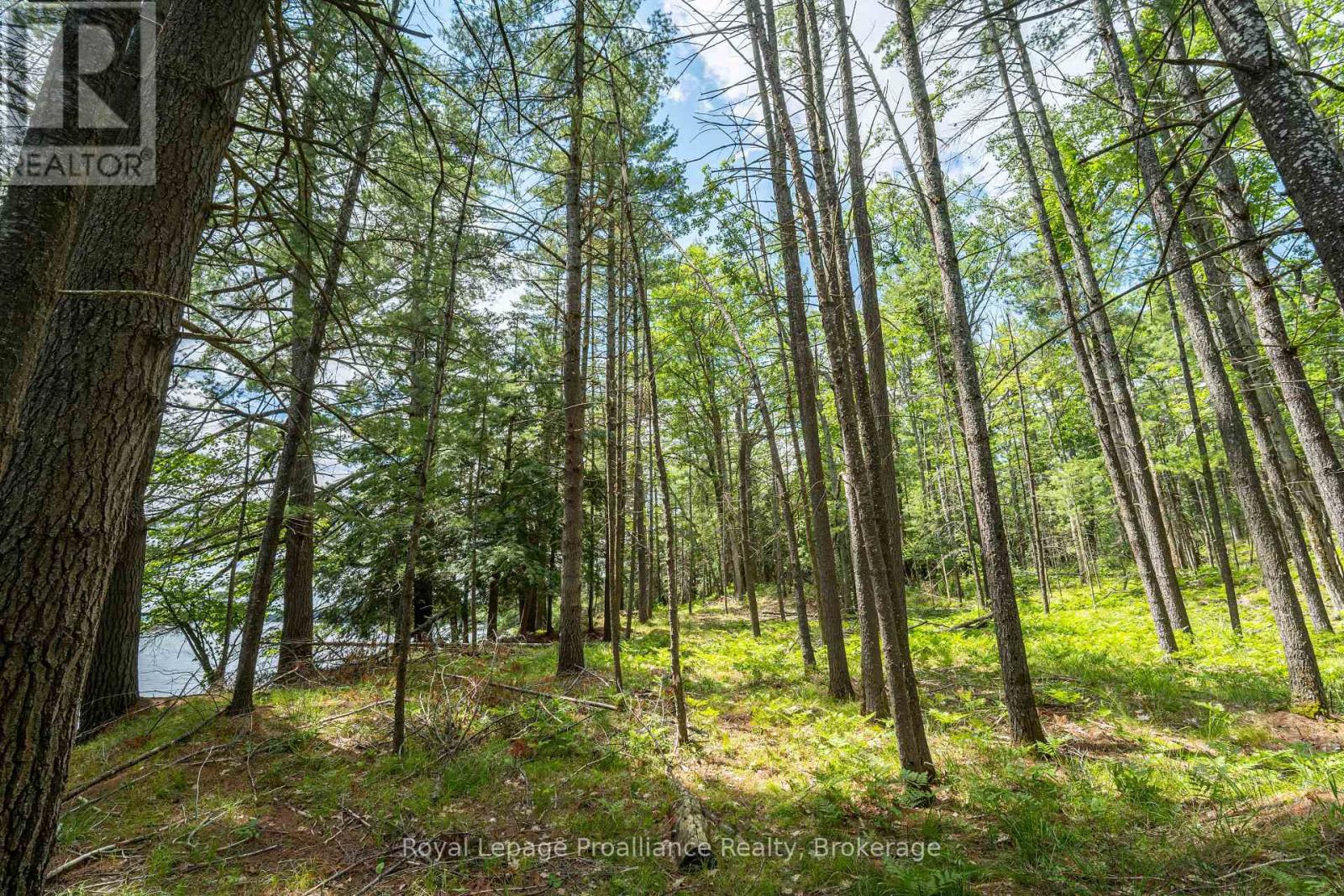 4 Wao Kasshabog Lake, Havelock-Belmont-Methuen, Ontario  K0L 2H0 - Photo 5 - X13570158