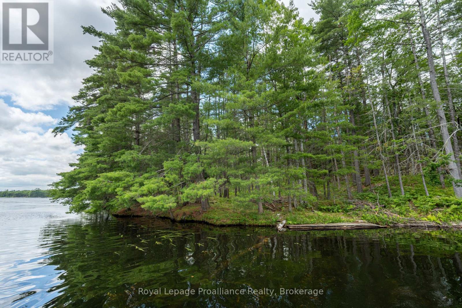 4 Wao Kasshabog Lake, Havelock-Belmont-Methuen, Ontario  K0L 2H0 - Photo 8 - X13570158