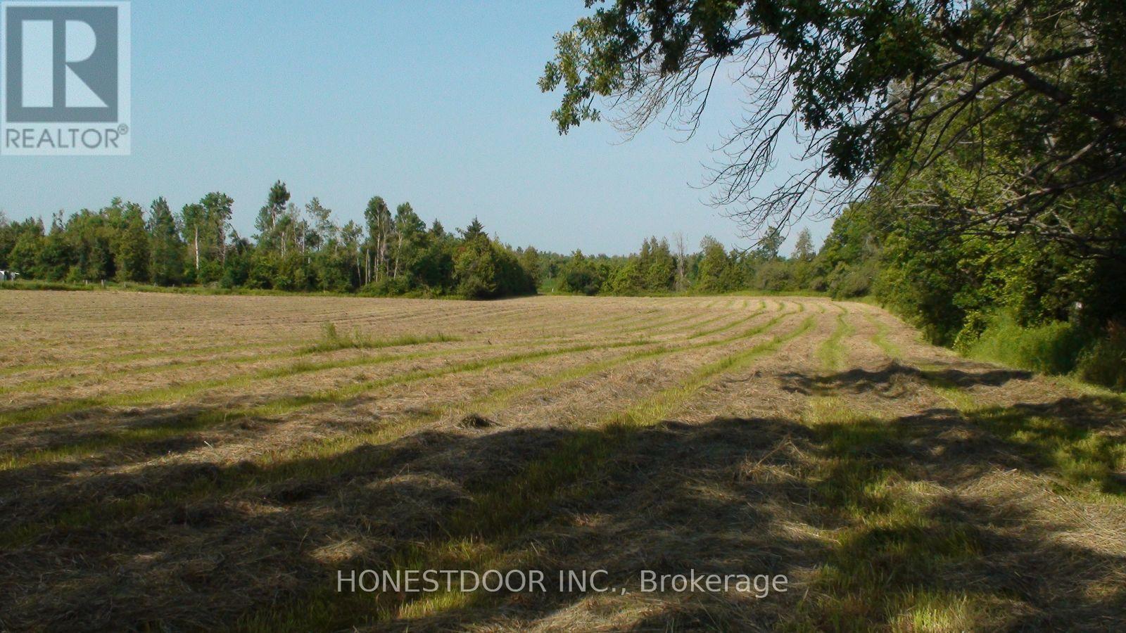 2349 Settlers Line, Otonabee-South Monaghan, Ontario  K0L 2B0 - Photo 23 - X13571944