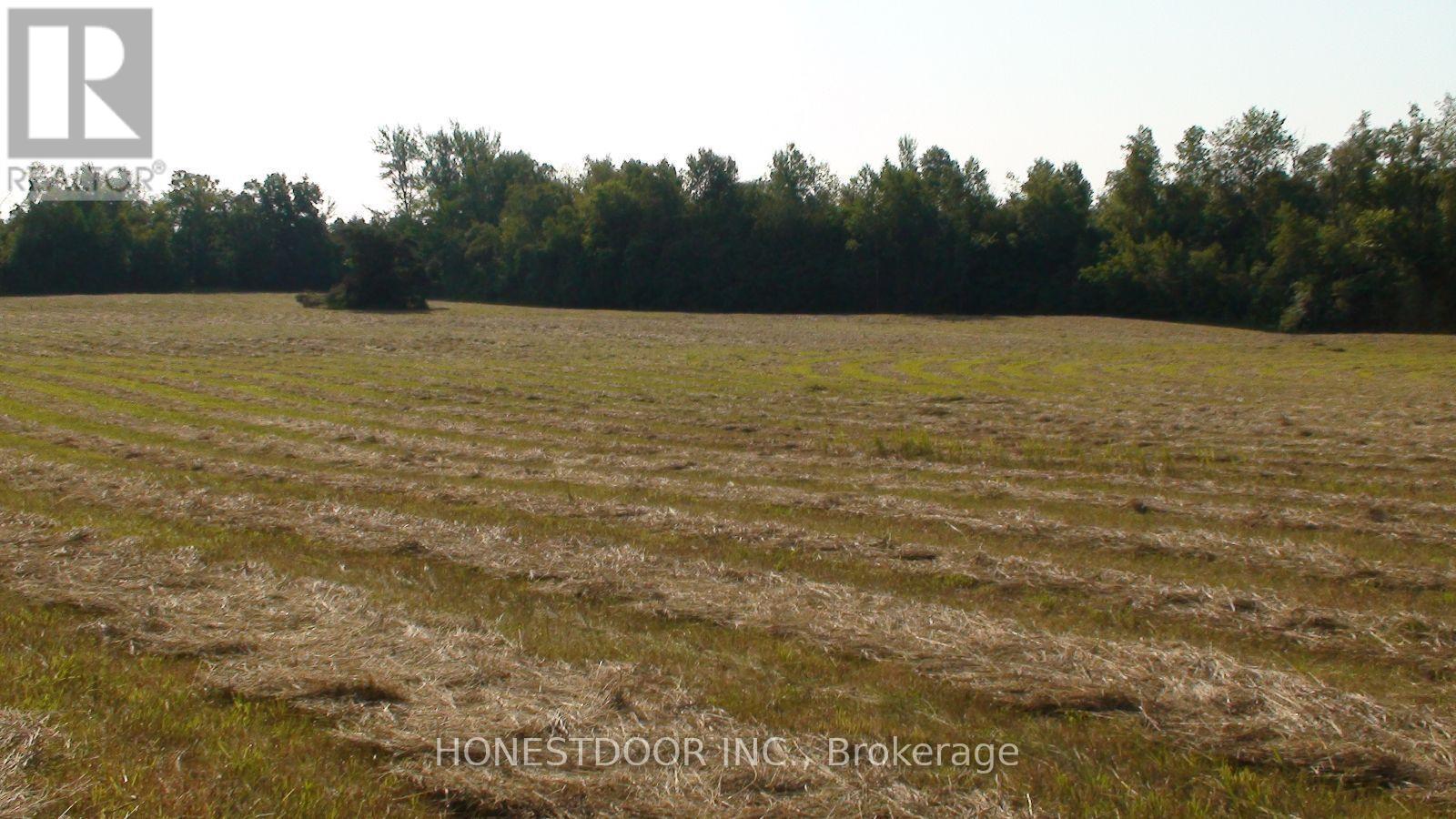 2349 Settlers Line, Otonabee-South Monaghan, Ontario  K0L 2B0 - Photo 24 - X13571944