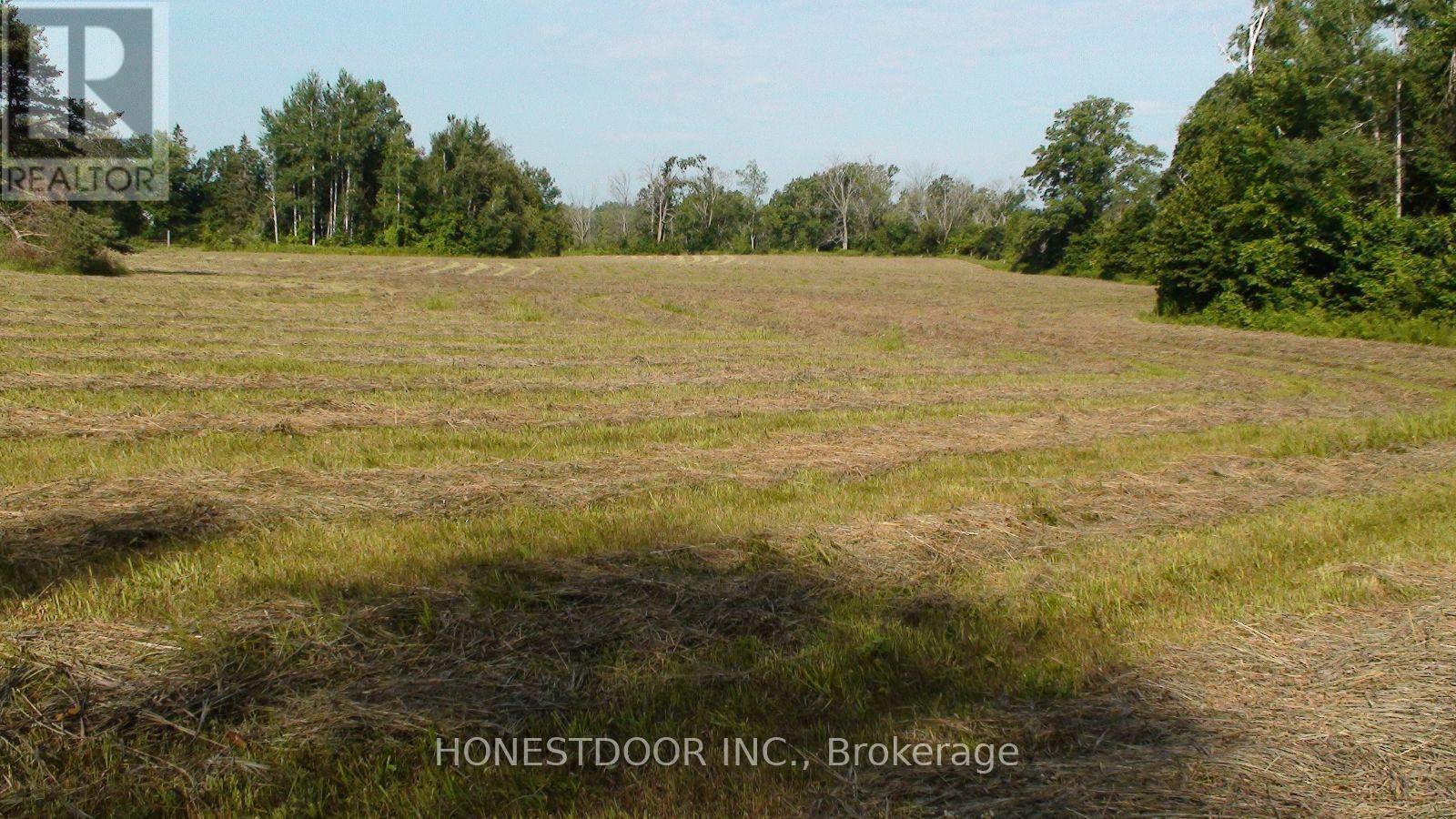 2349 Settlers Line, Otonabee-South Monaghan, Ontario  K0L 2B0 - Photo 25 - X13571944