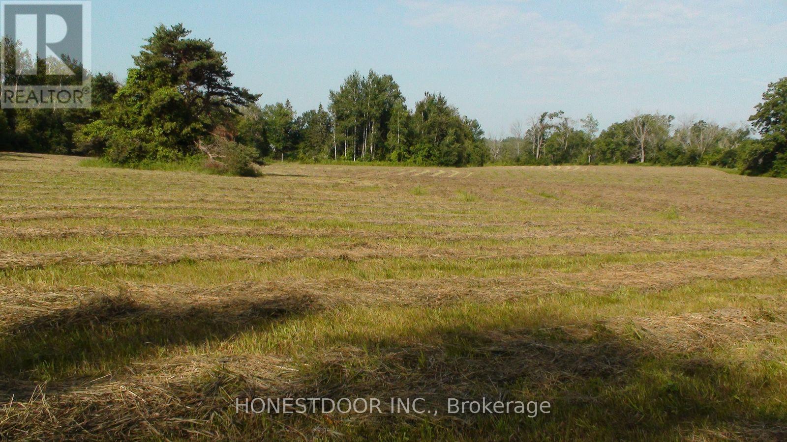 2349 Settlers Line, Otonabee-South Monaghan, Ontario  K0L 2B0 - Photo 26 - X13571944