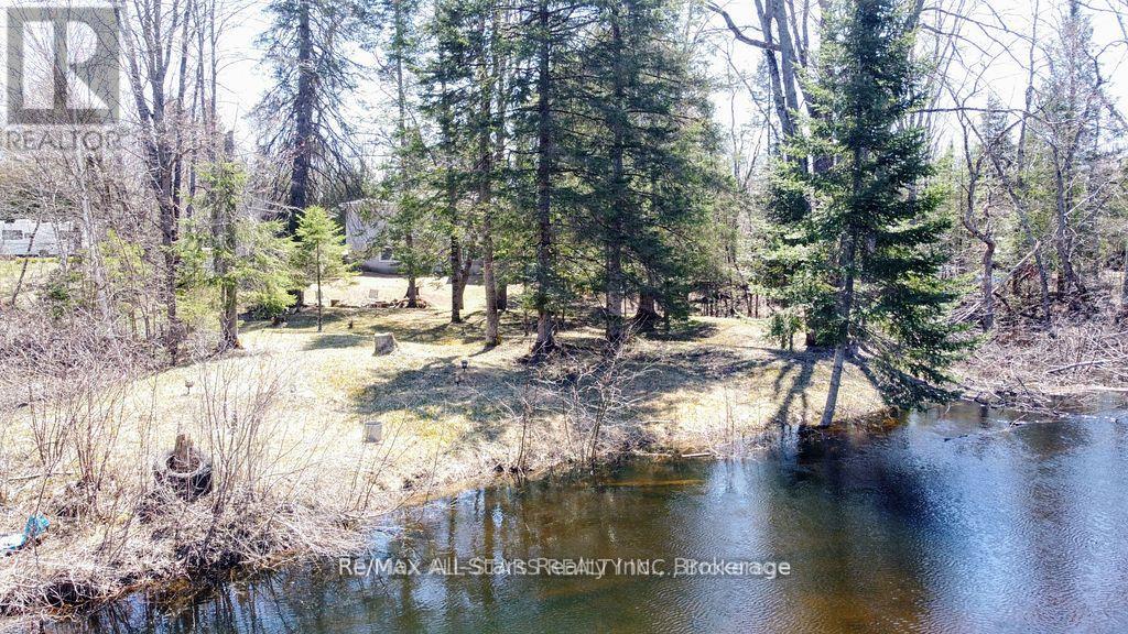 161 Mcfadden Road, North Kawartha, Ontario  K0L 1A0 - Photo 19 - X13574544