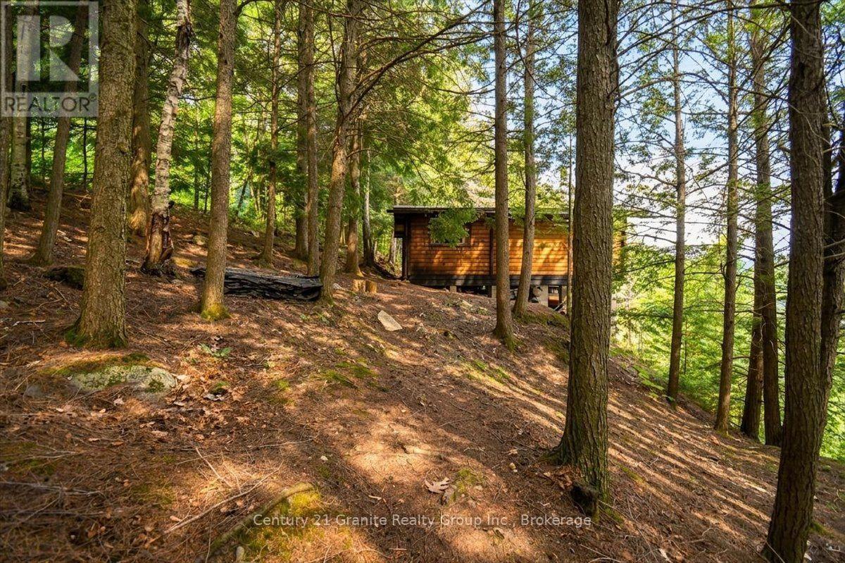 20733 Upper Paudash Road, Highlands East (Cardiff Ward), Ontario  K0L 1C0 - Photo 11 - X13576190