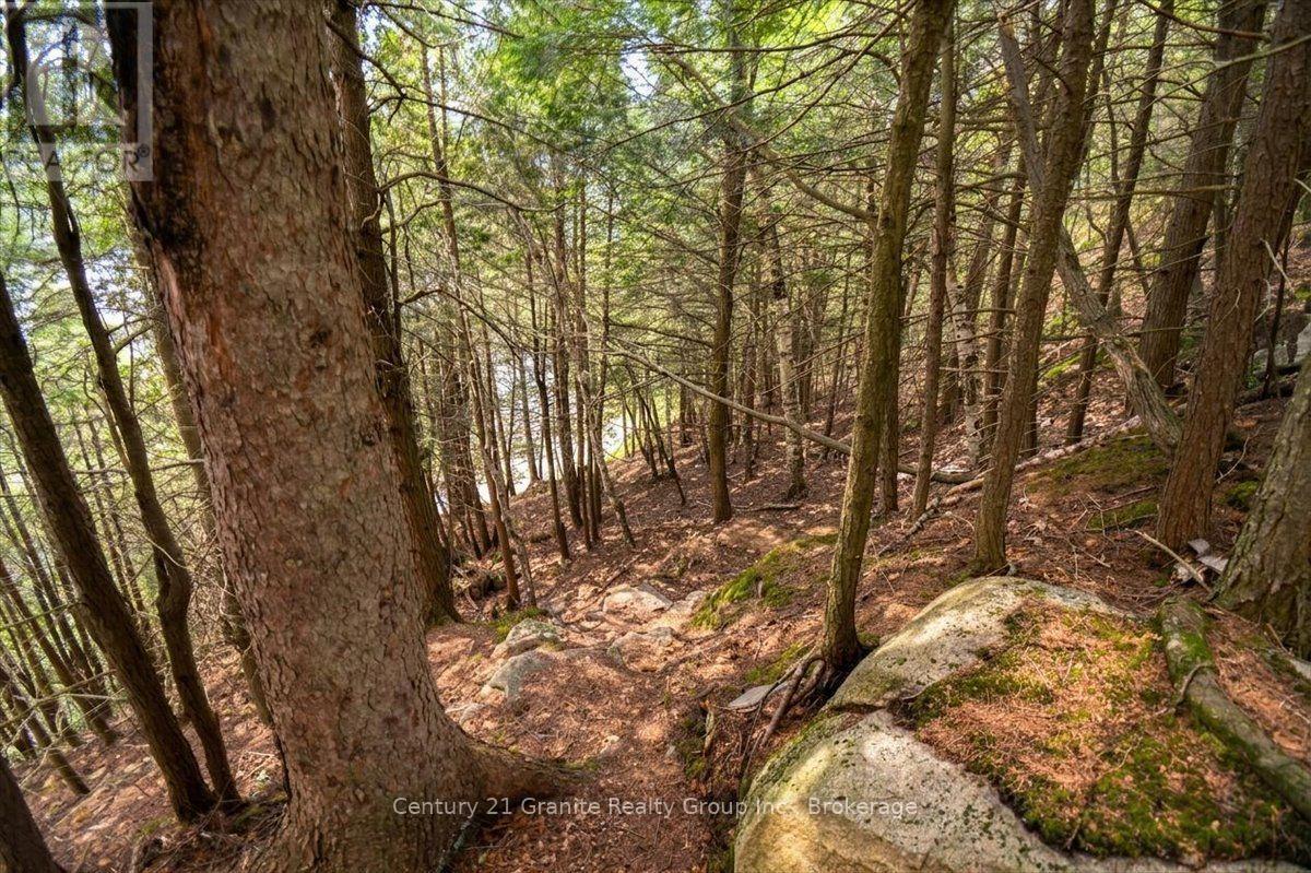 20733 Upper Paudash Road, Highlands East (Cardiff Ward), Ontario  K0L 1C0 - Photo 37 - X13576190