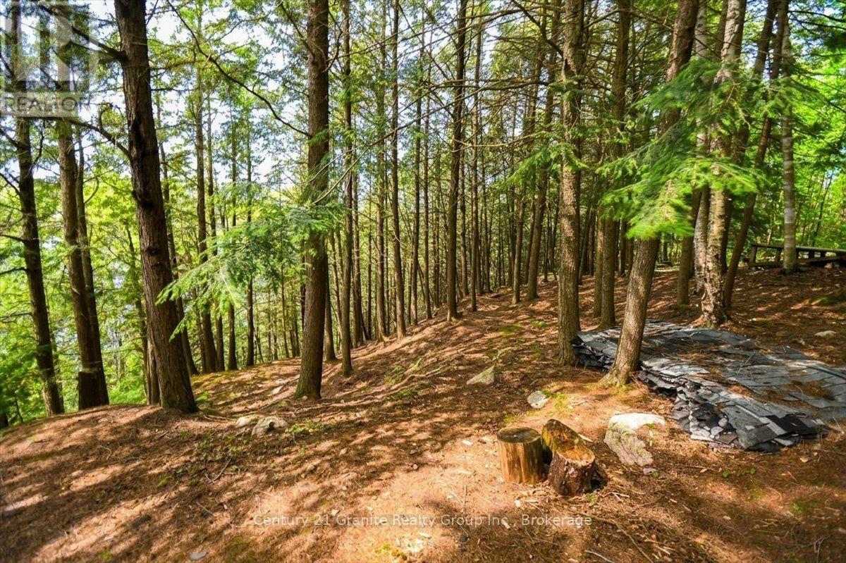 20733 Upper Paudash Road, Highlands East (Cardiff Ward), Ontario  K0L 1C0 - Photo 38 - X13576190