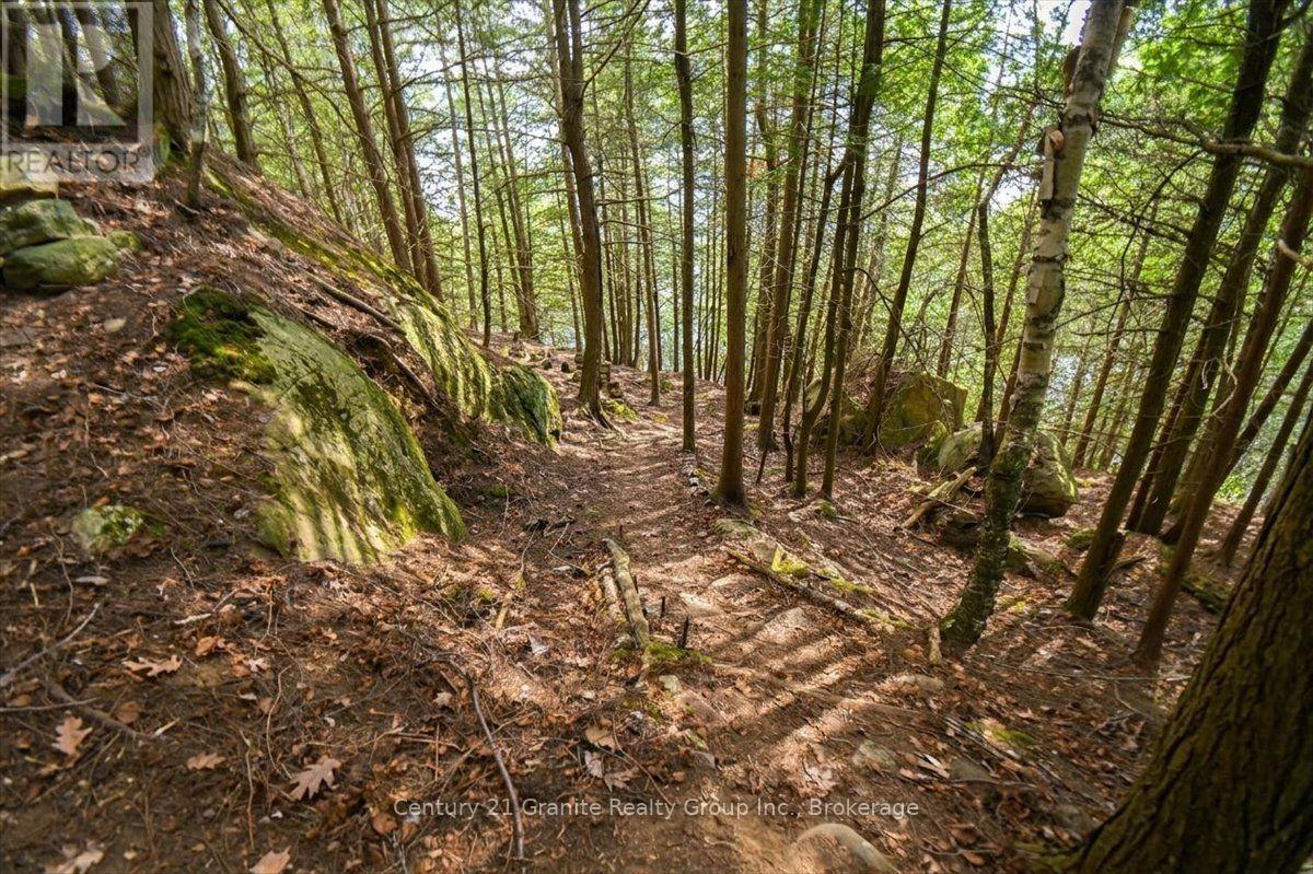 20733 Upper Paudash Road, Highlands East (Cardiff Ward), Ontario  K0L 1C0 - Photo 39 - X13576190