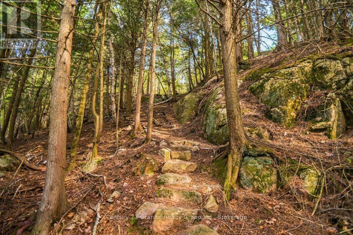 20733 Upper Paudash Road, Highlands East (Cardiff Ward), Ontario  K0L 1C0 - Photo 40 - X13576190