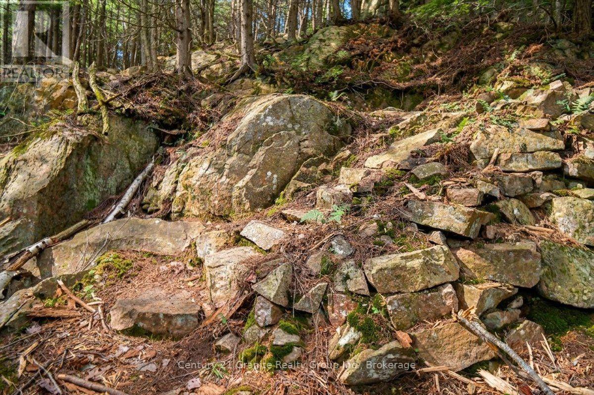 20733 Upper Paudash Road, Highlands East (Cardiff Ward), Ontario  K0L 1C0 - Photo 41 - X13576190
