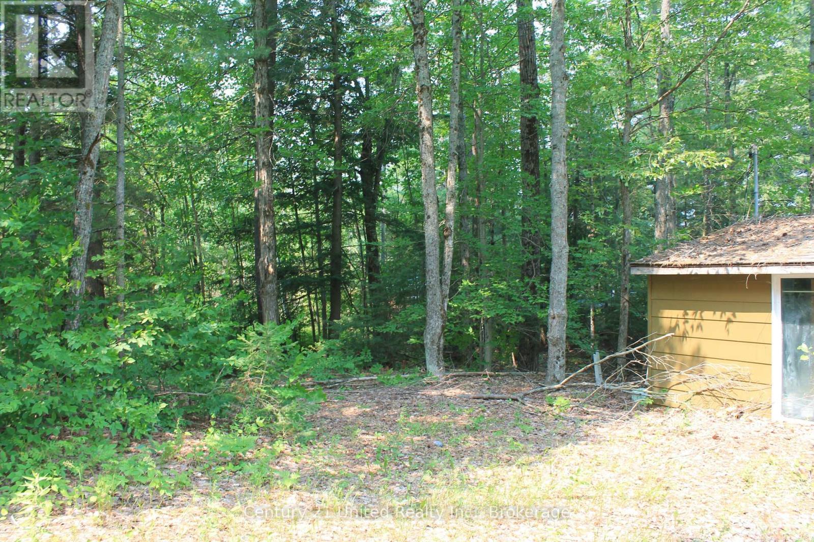 47 Mckee Avenue, Trent Lakes, Ontario  K0L 1J0 - Photo 10 - X13576206