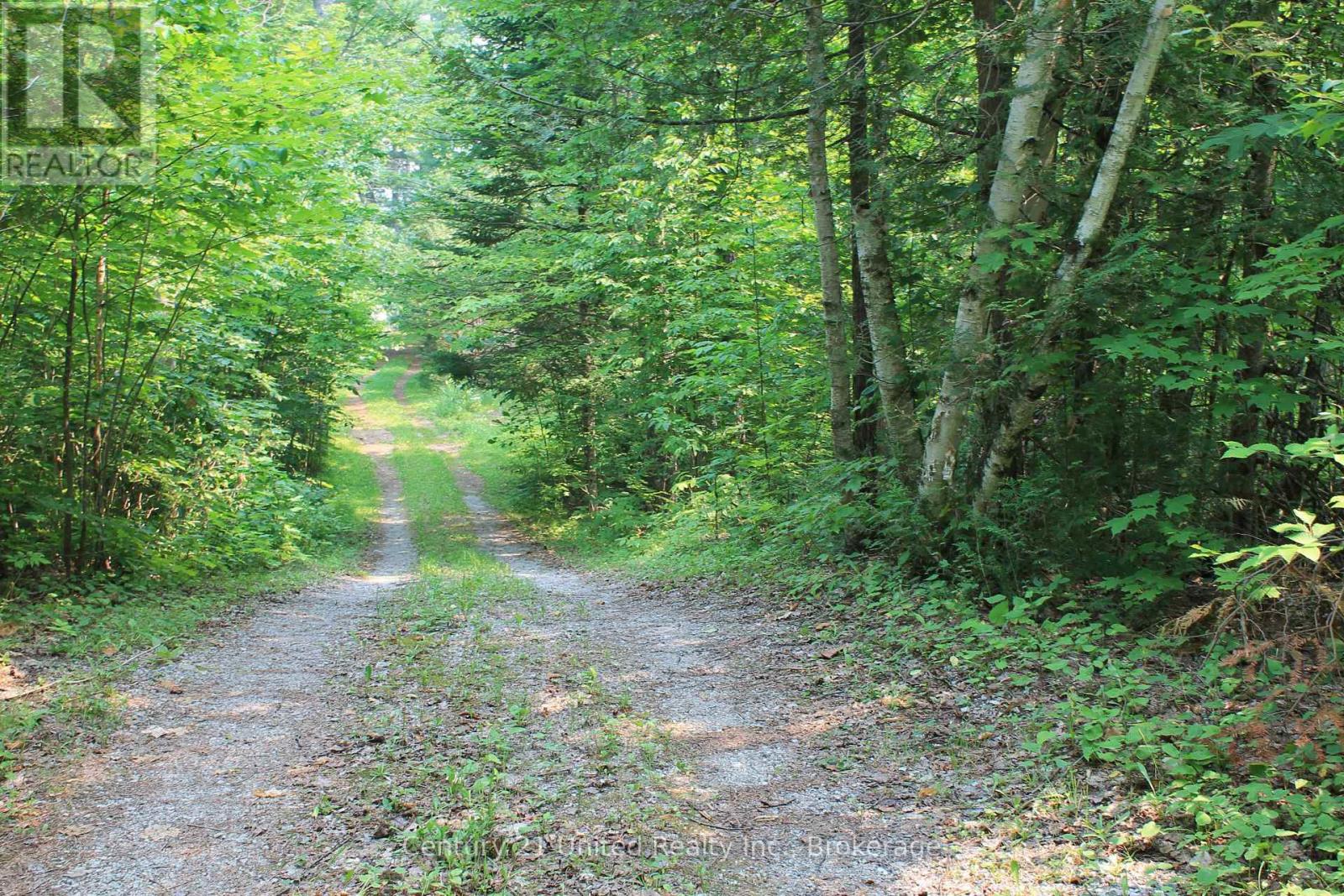 47 Mckee Avenue, Trent Lakes, Ontario  K0L 1J0 - Photo 11 - X13576206