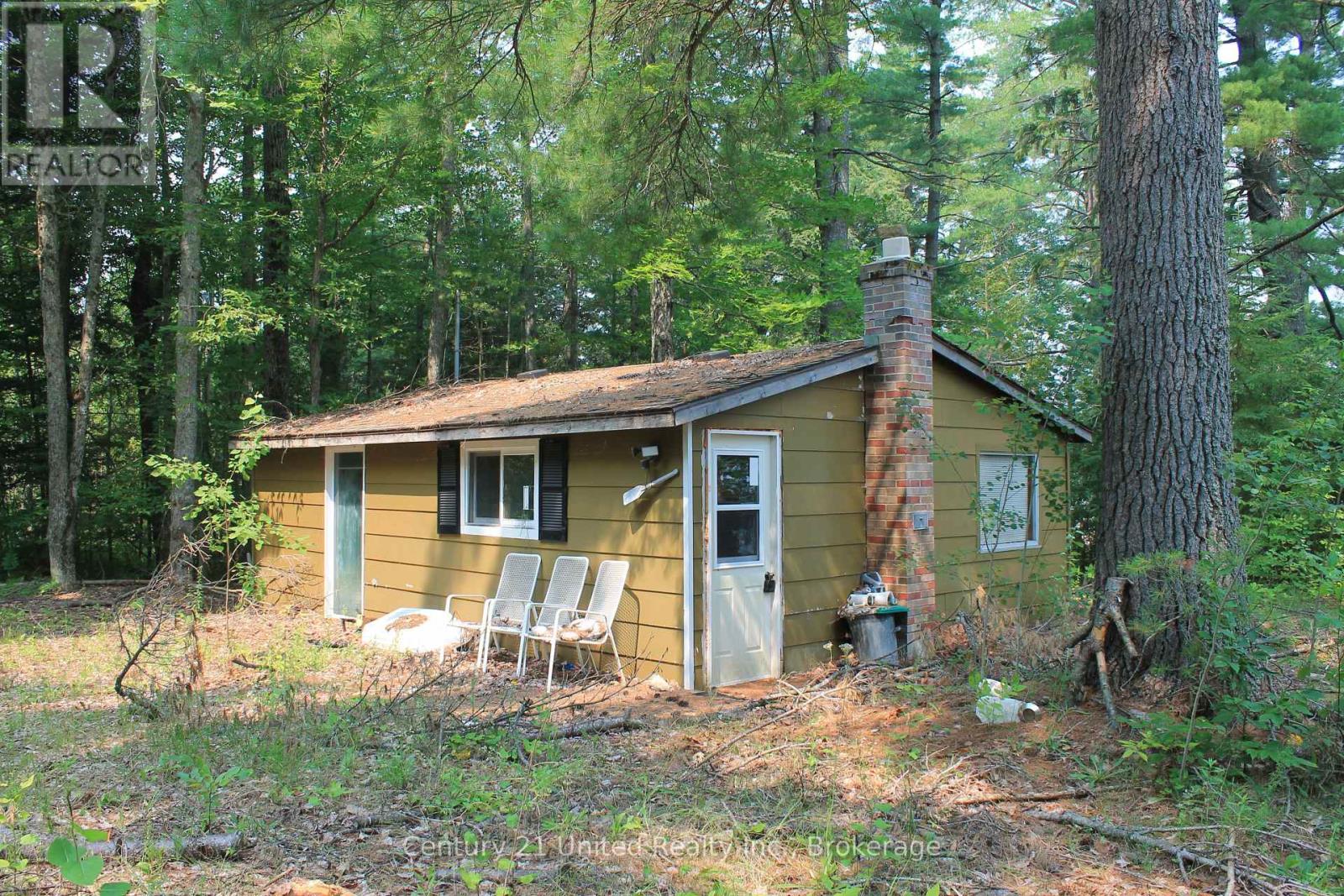47 Mckee Avenue, Trent Lakes, Ontario  K0L 1J0 - Photo 17 - X13576206