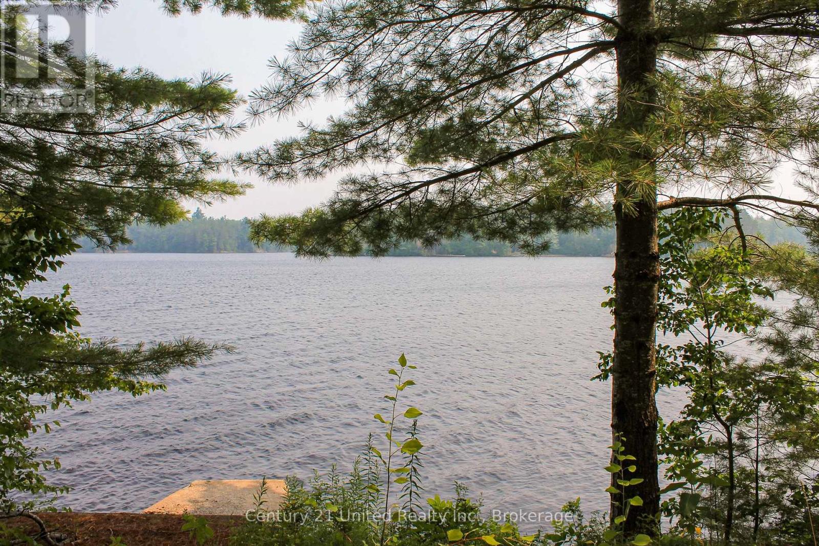 47 Mckee Avenue, Trent Lakes, Ontario  K0L 1J0 - Photo 18 - X13576206