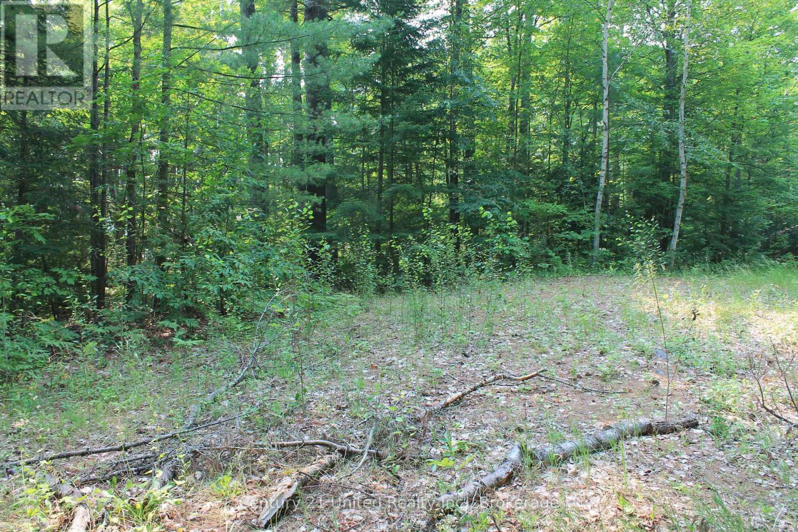 47 Mckee Avenue, Trent Lakes, Ontario  K0L 1J0 - Photo 19 - X13576206