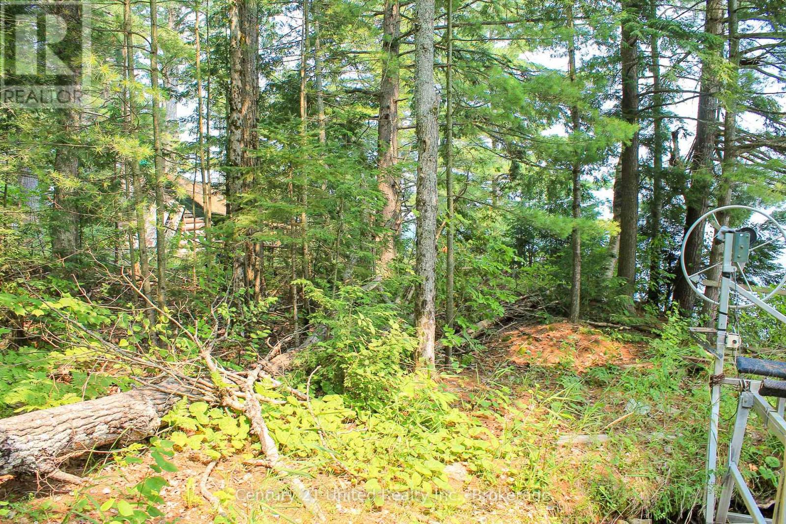 47 Mckee Avenue, Trent Lakes, Ontario  K0L 1J0 - Photo 20 - X13576206