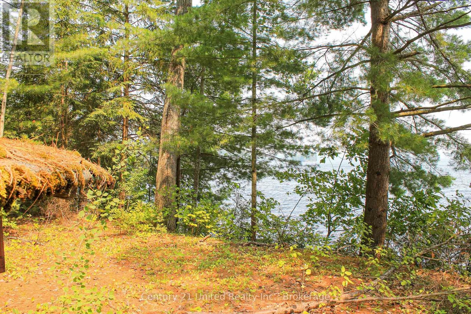 47 Mckee Avenue, Trent Lakes, Ontario  K0L 1J0 - Photo 21 - X13576206