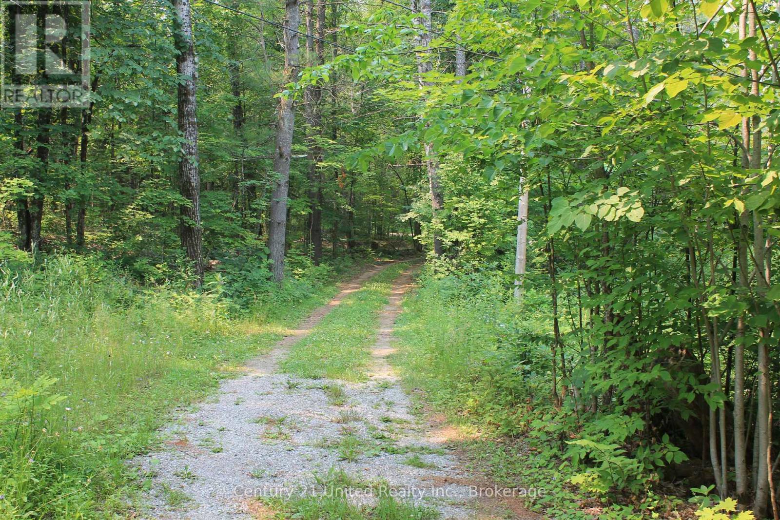 47 Mckee Avenue, Trent Lakes, Ontario  K0L 1J0 - Photo 23 - X13576206