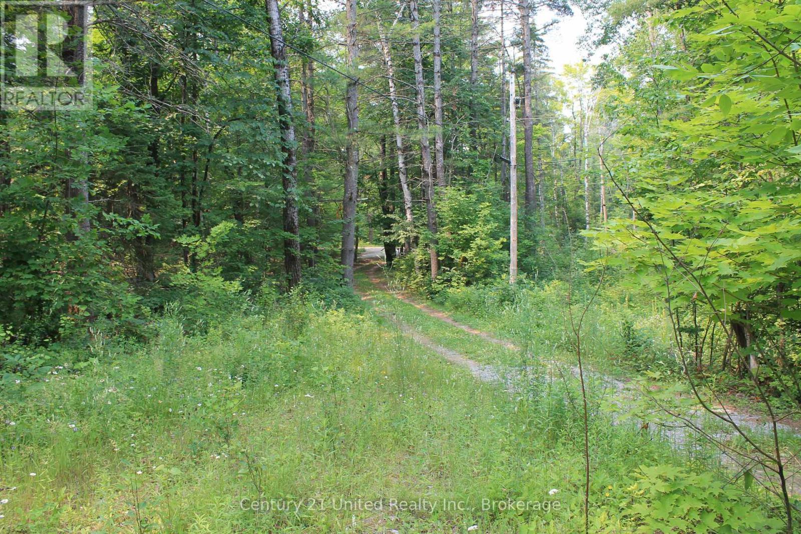 47 Mckee Avenue, Trent Lakes, Ontario  K0L 1J0 - Photo 24 - X13576206