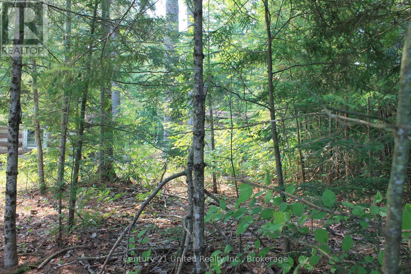 47 Mckee Avenue, Trent Lakes, Ontario  K0L 1J0 - Photo 25 - X13576206