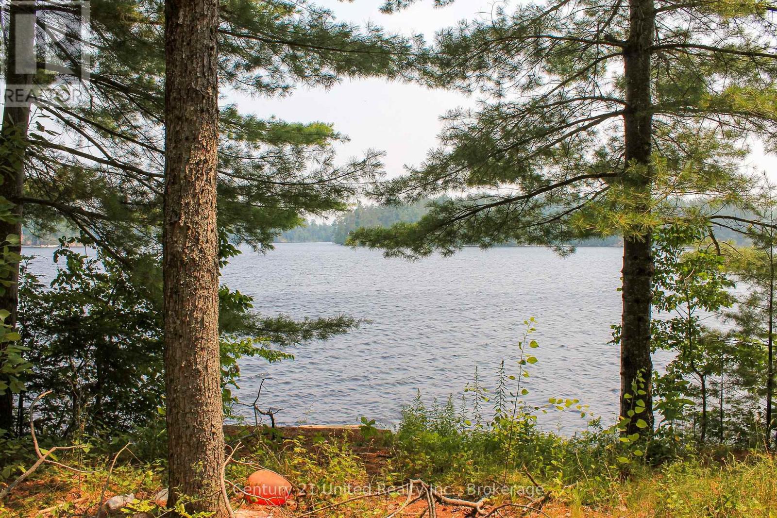 47 Mckee Avenue, Trent Lakes, Ontario  K0L 1J0 - Photo 26 - X13576206