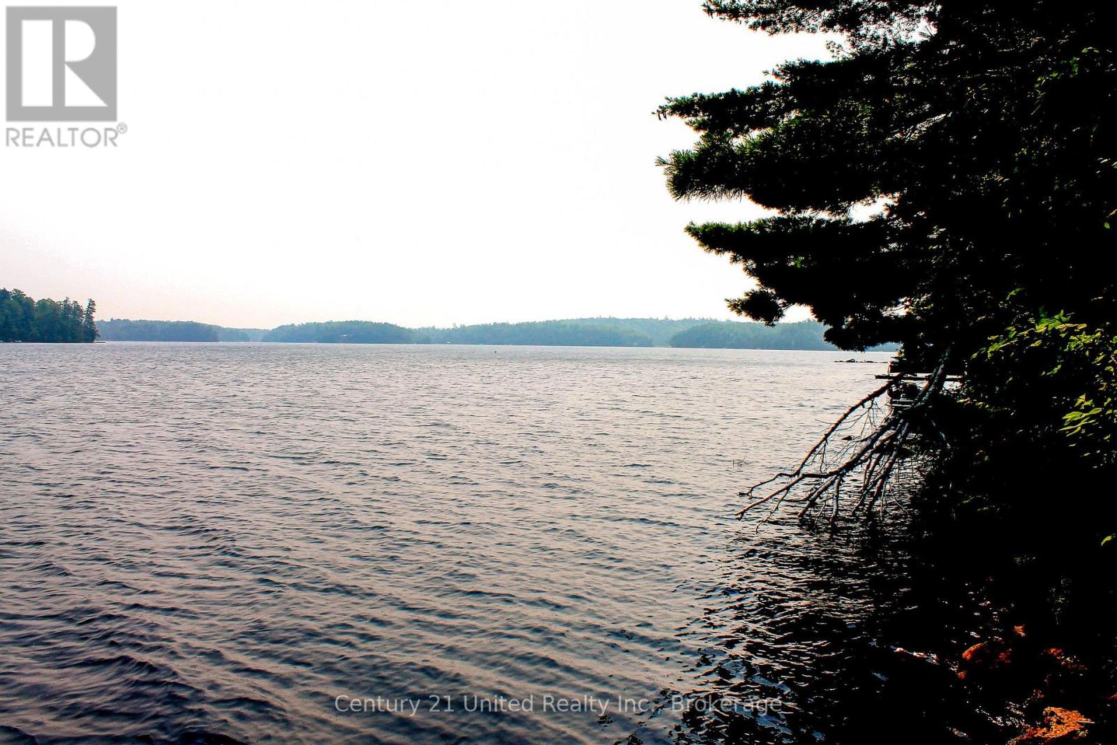 47 Mckee Avenue, Trent Lakes, Ontario  K0L 1J0 - Photo 28 - X13576206