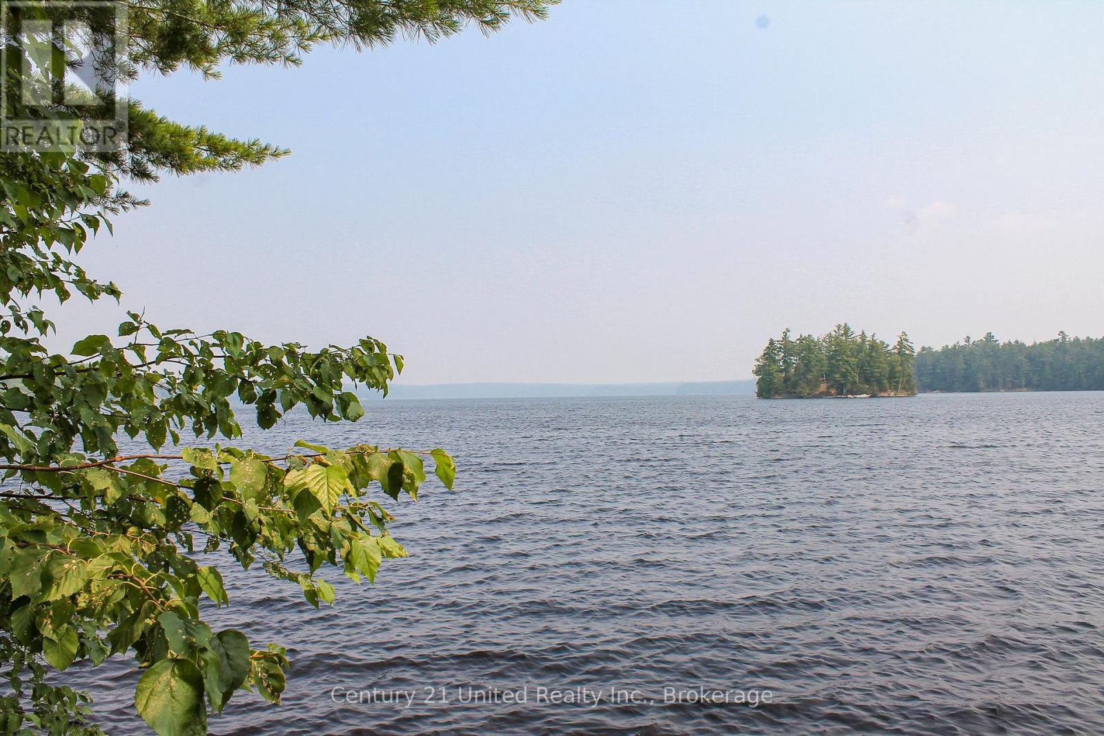 47 Mckee Avenue, Trent Lakes, Ontario  K0L 1J0 - Photo 3 - X13576206