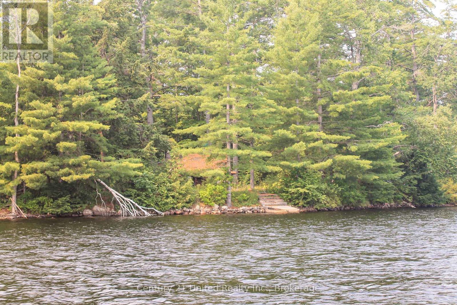 47 Mckee Avenue, Trent Lakes, Ontario  K0L 1J0 - Photo 4 - X13576206
