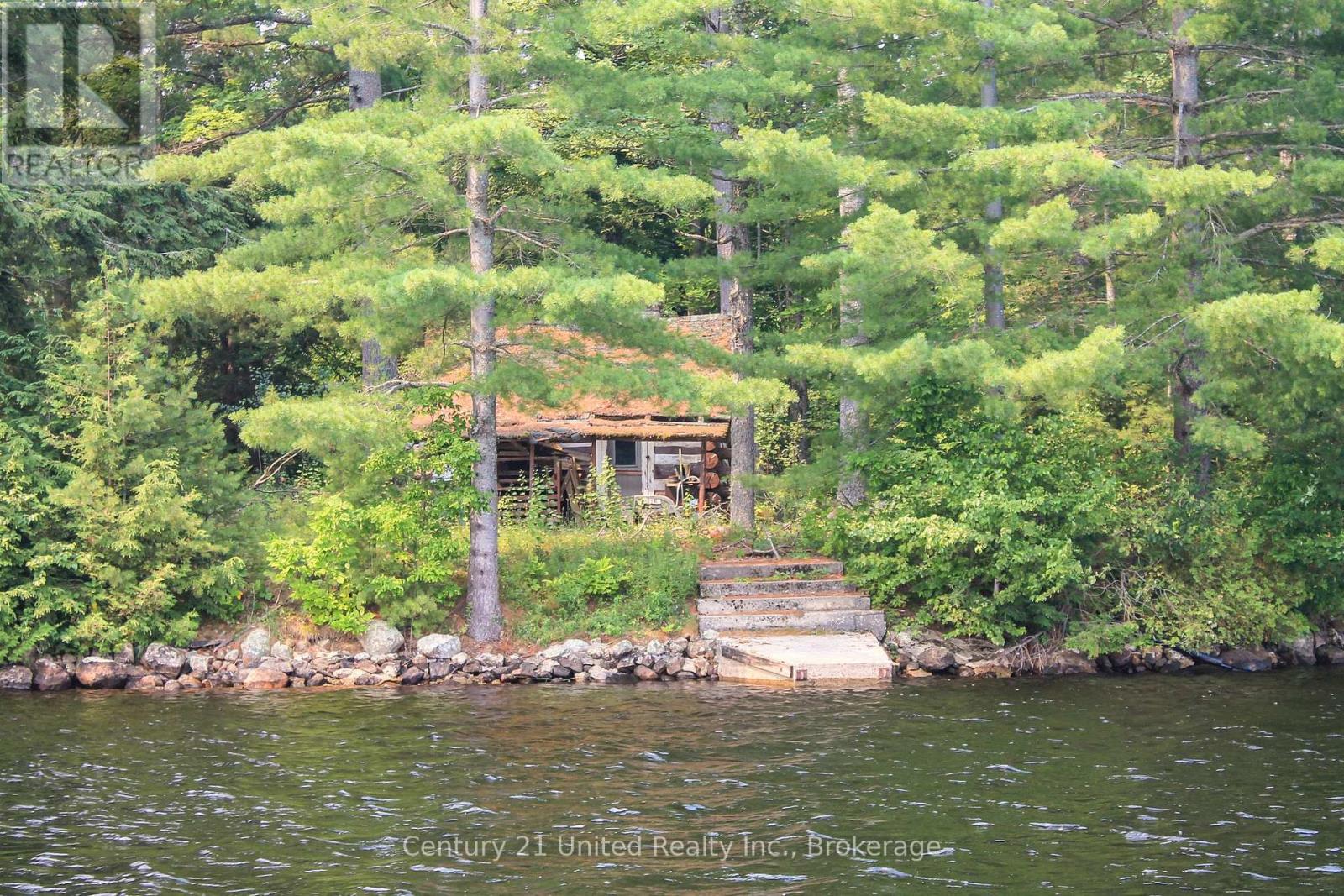 47 Mckee Avenue, Trent Lakes, Ontario  K0L 1J0 - Photo 5 - X13576206