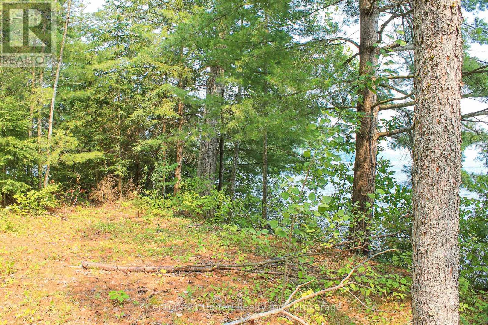 47 Mckee Avenue, Trent Lakes, Ontario  K0L 1J0 - Photo 6 - X13576206