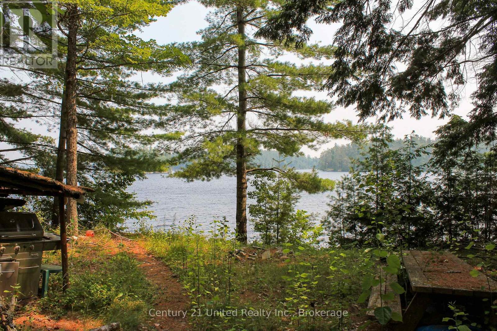 47 Mckee Avenue, Trent Lakes, Ontario  K0L 1J0 - Photo 7 - X13576206