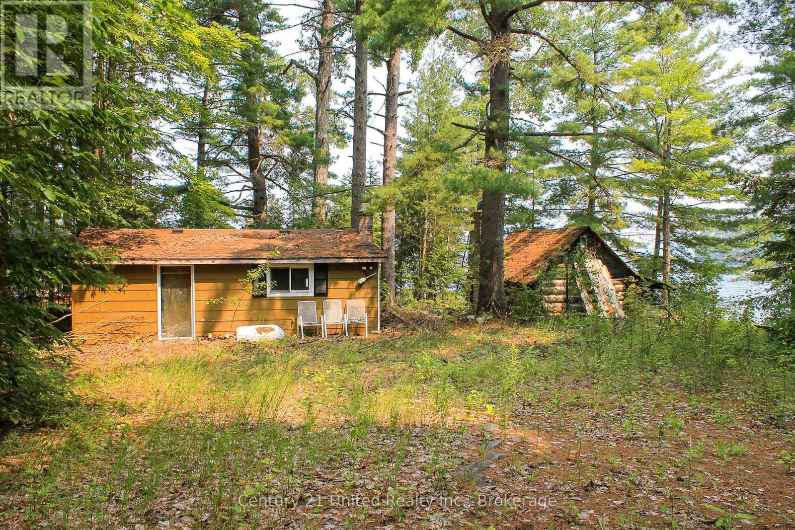 47 Mckee Avenue, Trent Lakes, Ontario  K0L 1J0 - Photo 8 - X13576206