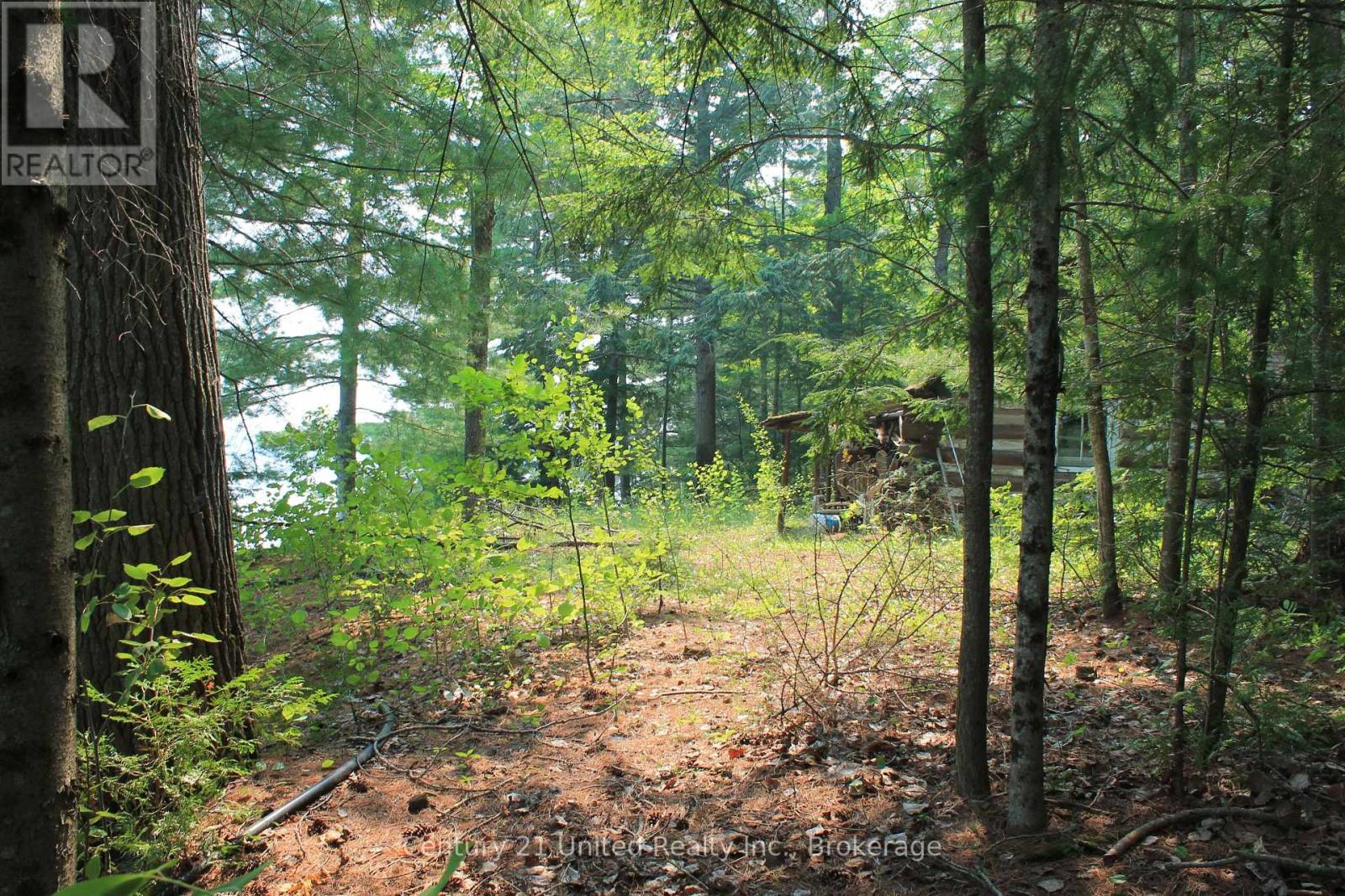 47 Mckee Avenue, Trent Lakes, Ontario  K0L 1J0 - Photo 9 - X13576206
