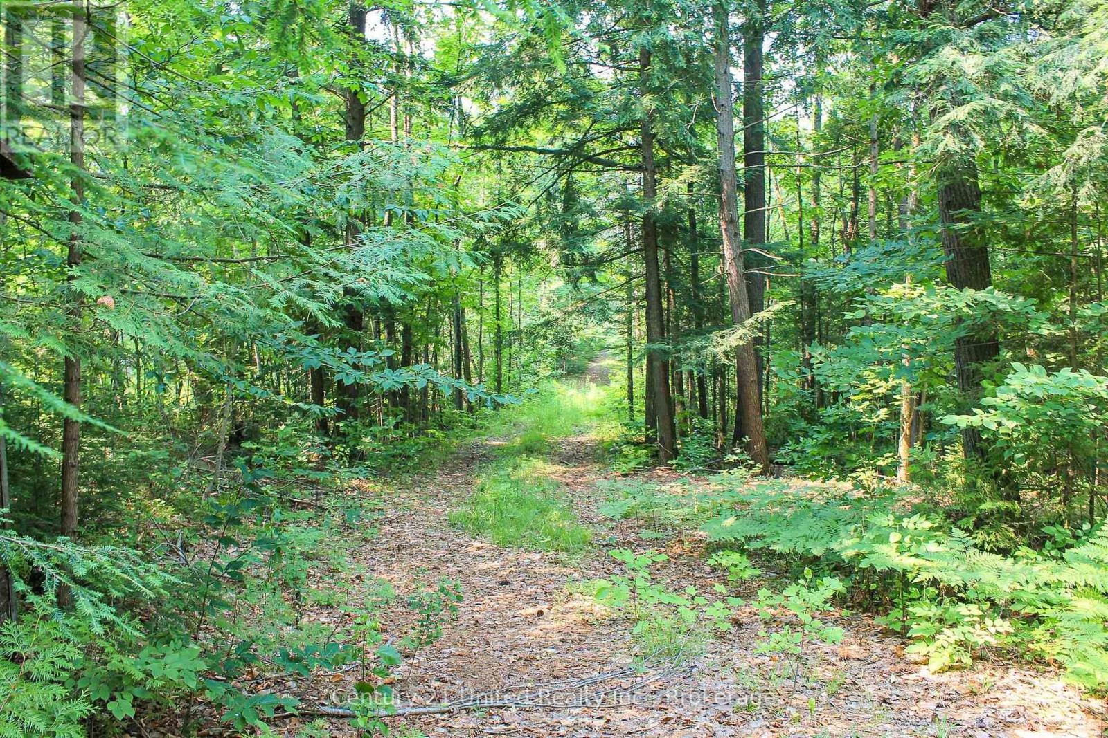 00 Mckee Avenue, Trent Lakes, Ontario  K0L 1J0 - Photo 12 - X13576260
