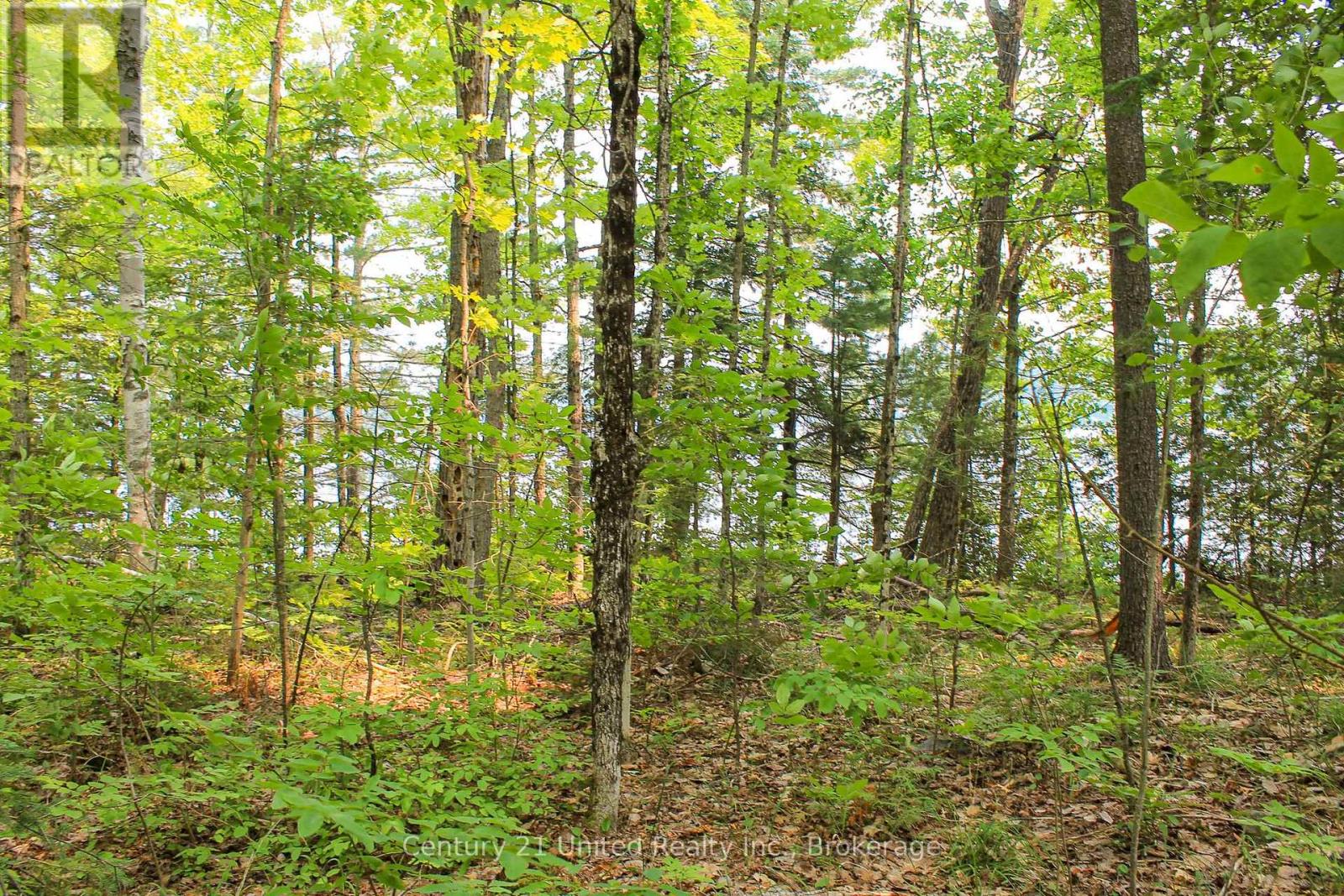 00 Mckee Avenue, Trent Lakes, Ontario  K0L 1J0 - Photo 13 - X13576260