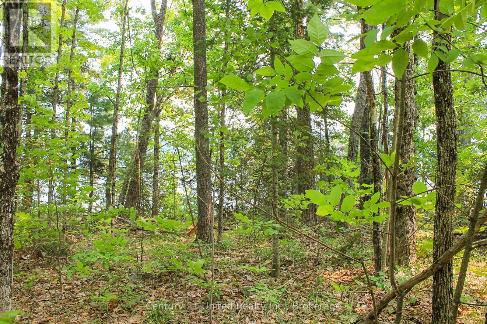 00 Mckee Avenue, Trent Lakes, Ontario  K0L 1J0 - Photo 15 - X13576260