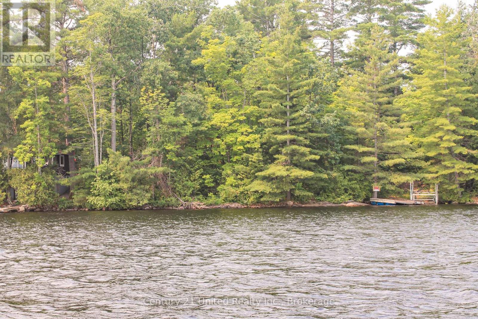 00 Mckee Avenue, Trent Lakes, Ontario  K0L 1J0 - Photo 4 - X13576260