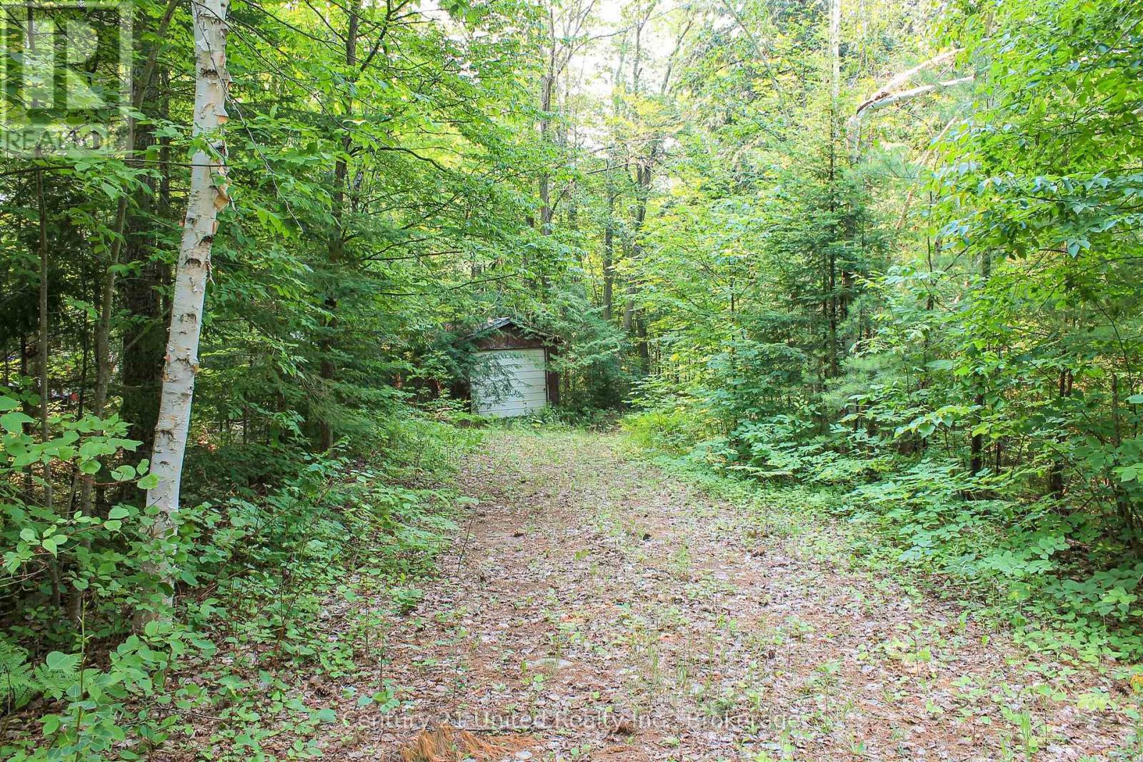 00 Mckee Avenue, Trent Lakes, Ontario  K0L 1J0 - Photo 5 - X13576260
