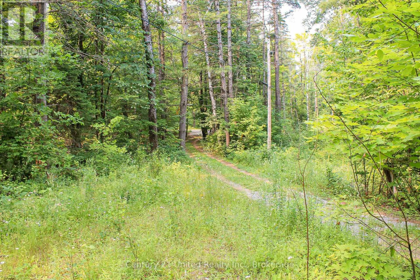 00 Mckee Avenue, Trent Lakes, Ontario  K0L 1J0 - Photo 6 - X13576260