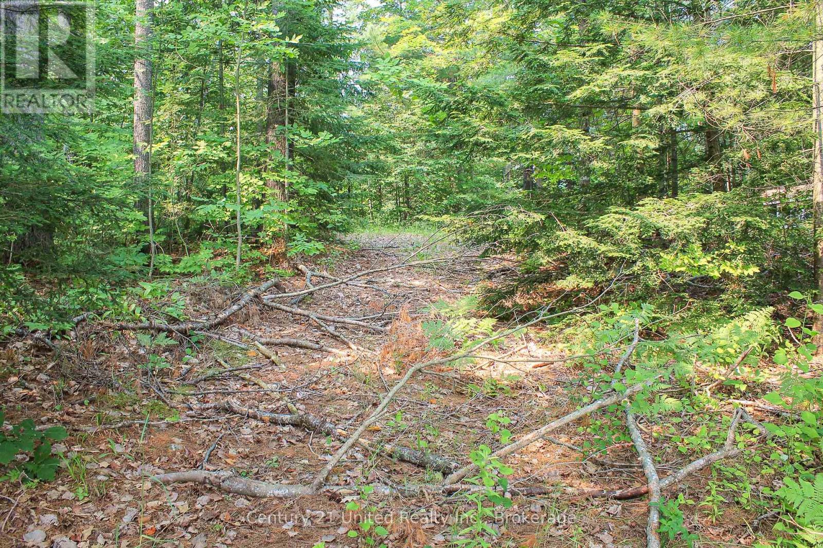 00 Mckee Avenue, Trent Lakes, Ontario  K0L 1J0 - Photo 7 - X13576260