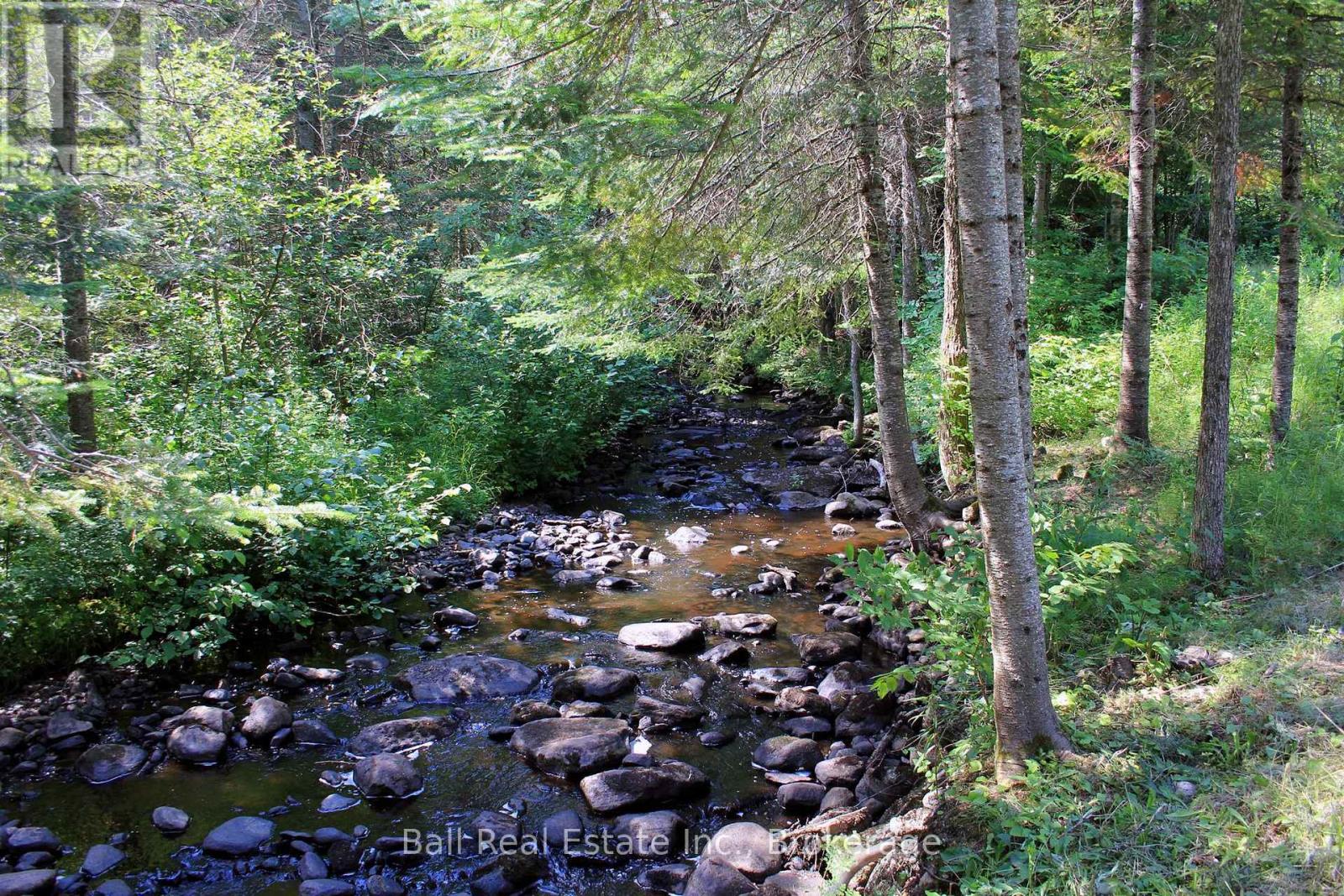 5472 Loop Road, Highlands East (Cardiff Ward), Ontario  K0L 2A0 - Photo 43 - X13576930