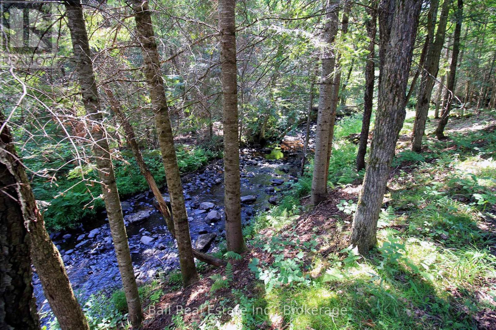 5472 Loop Road, Highlands East (Cardiff Ward), Ontario  K0L 2A0 - Photo 44 - X13576930