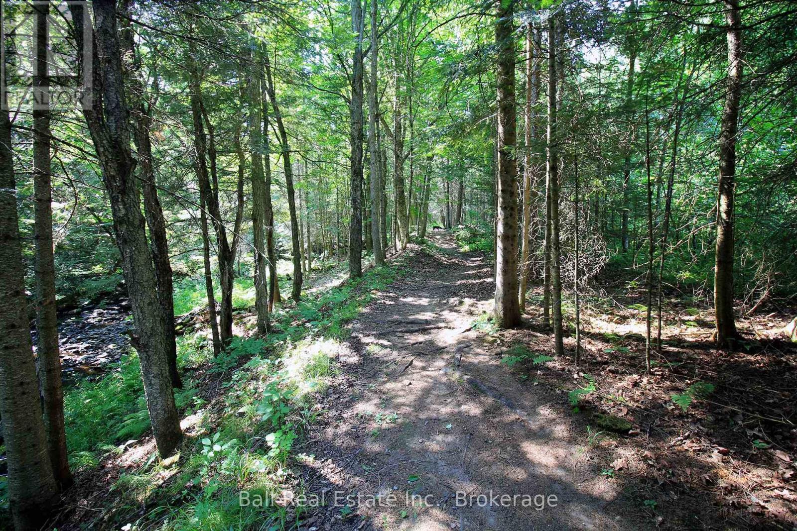 5472 Loop Road, Highlands East (Cardiff Ward), Ontario  K0L 2A0 - Photo 45 - X13576930