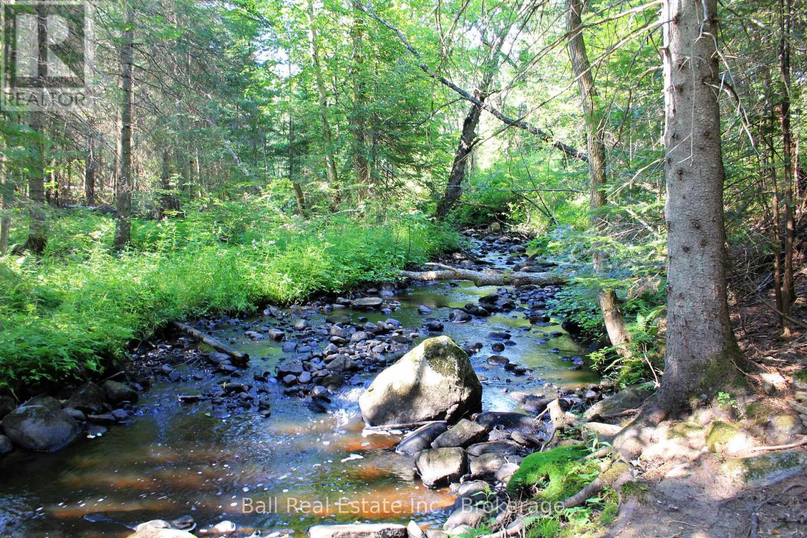 5472 Loop Road, Highlands East (Cardiff Ward), Ontario  K0L 2A0 - Photo 46 - X13576930