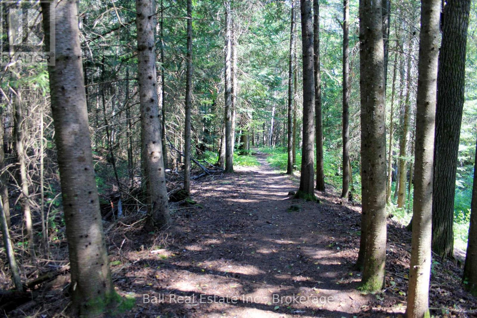 5472 Loop Road, Highlands East (Cardiff Ward), Ontario  K0L 2A0 - Photo 47 - X13576930