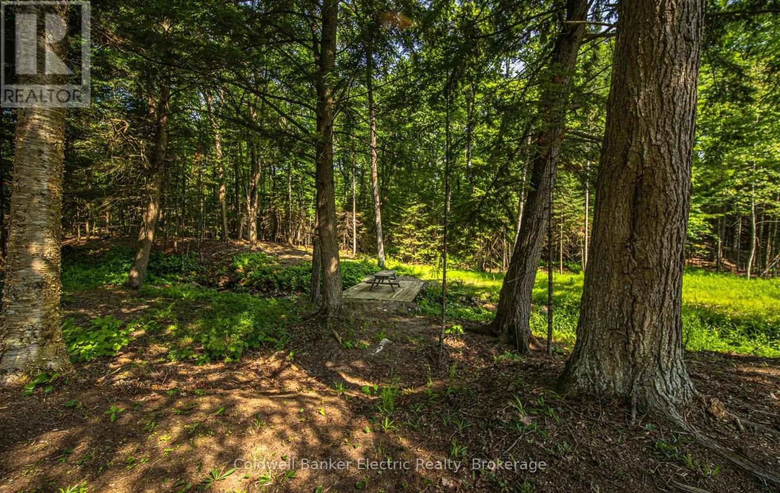 843 Jack Lake Road, Havelock-Belmont-Methuen, Ontario  K0L 1A0 - Photo 36 - X13578032