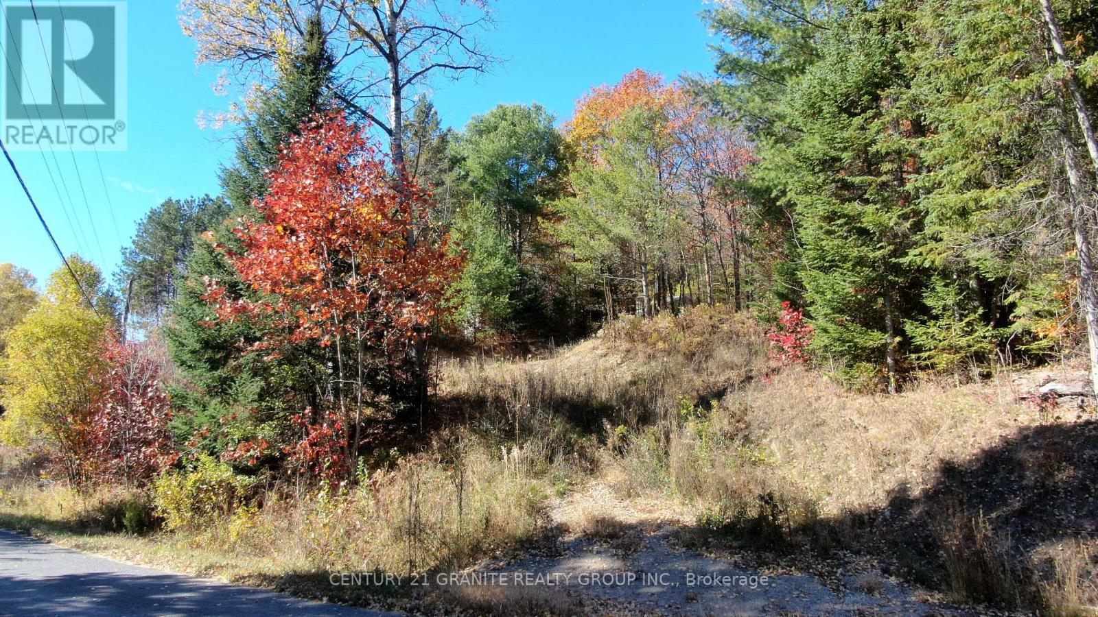 178 Gaebel Road, Bancroft (Bancroft Ward), Ontario  K0L 1C0 - Photo 2 - X13583412