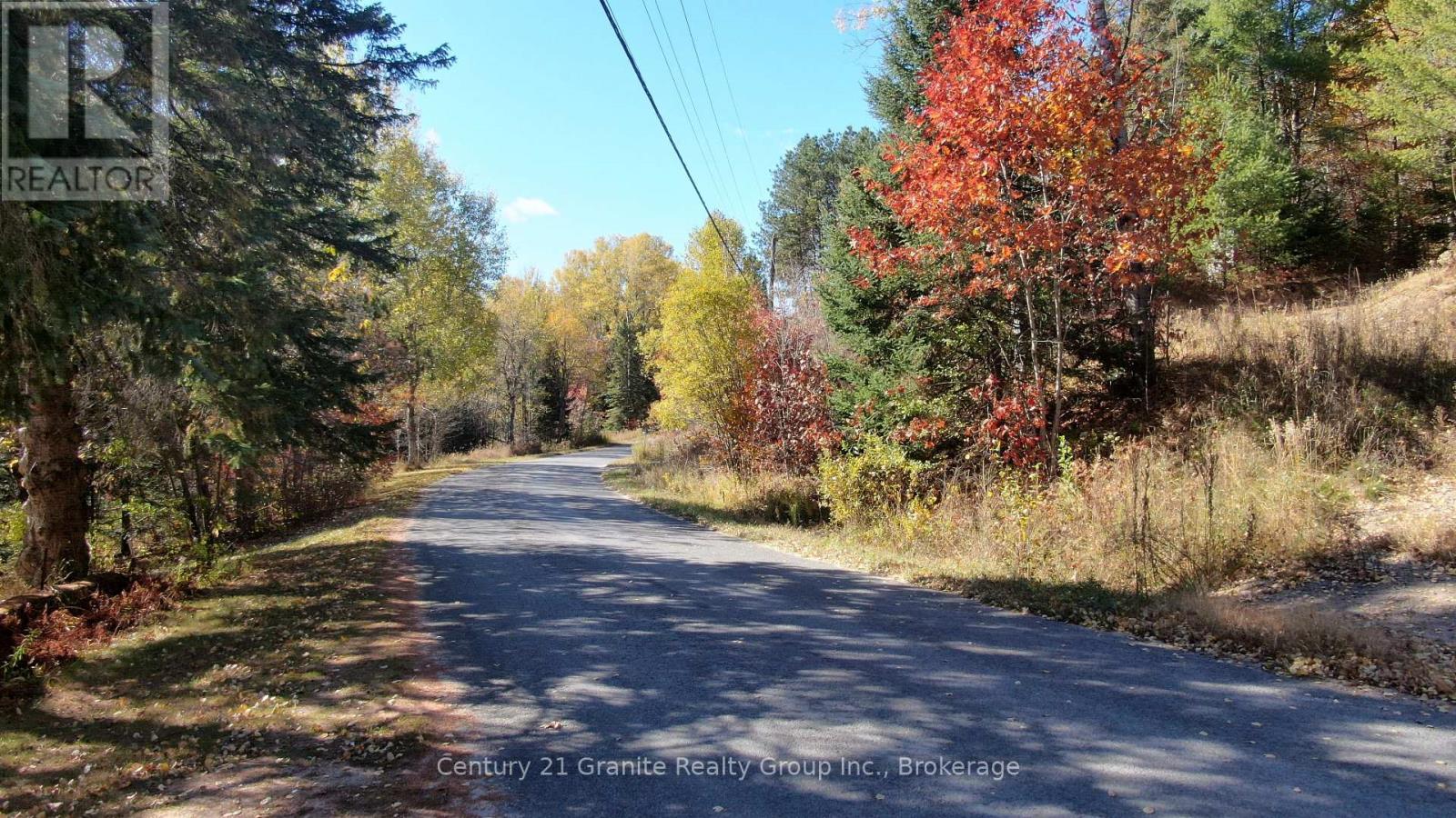178 Gaebel Road, Bancroft (Bancroft Ward), Ontario  K0L 1C0 - Photo 33 - X13583412