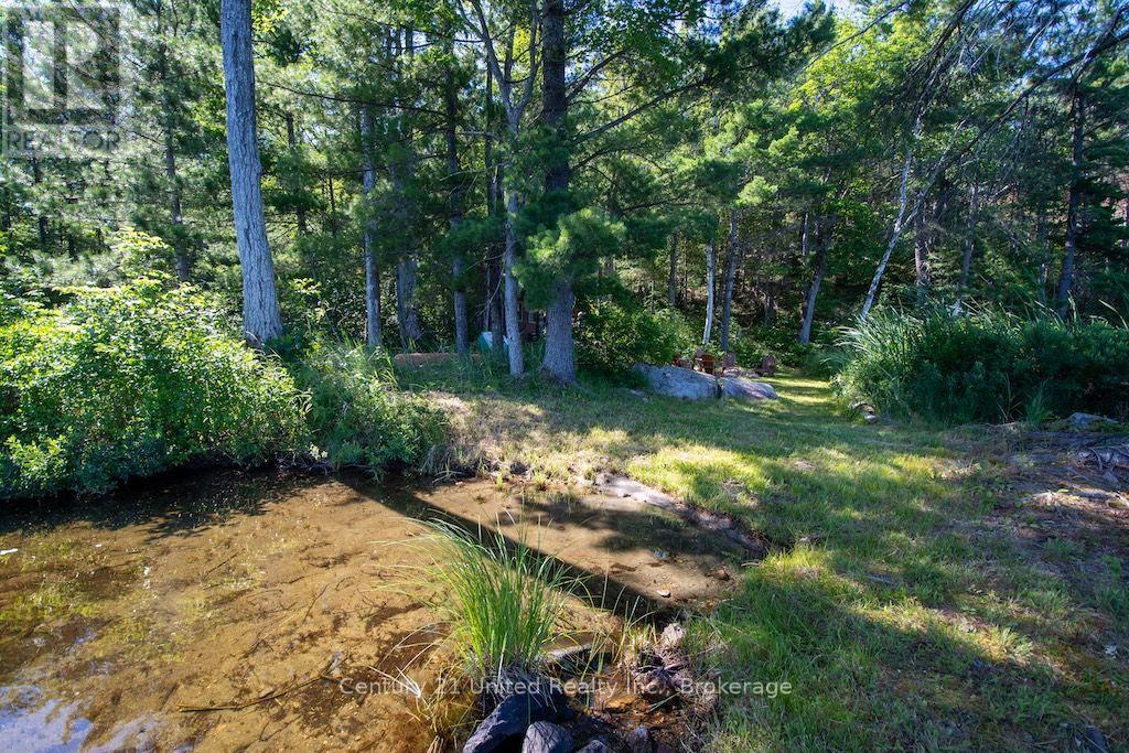 174 Fire Route 55, North Kawartha, Ontario  K0L 1A0 - Photo 36 - X13583450