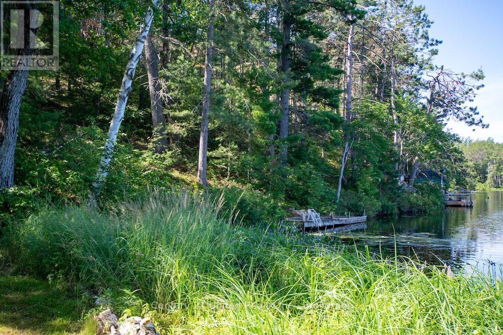174 Fire Route 55, North Kawartha, Ontario  K0L 1A0 - Photo 40 - X13583450